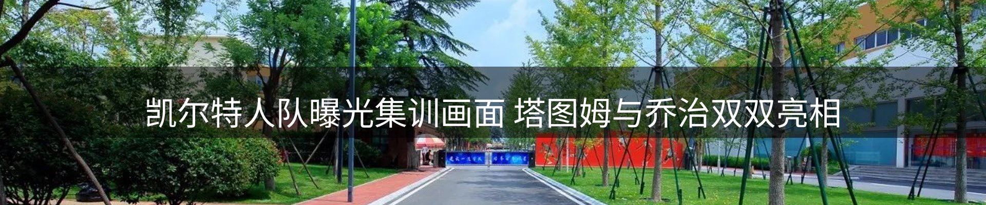 公司快讯