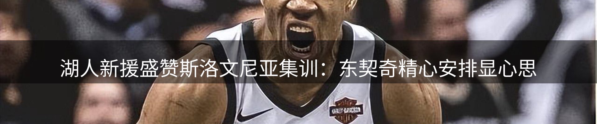公司快讯
